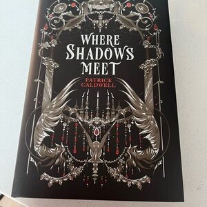 Decorative Black and Silver Book Cover - Where Shadows Meet